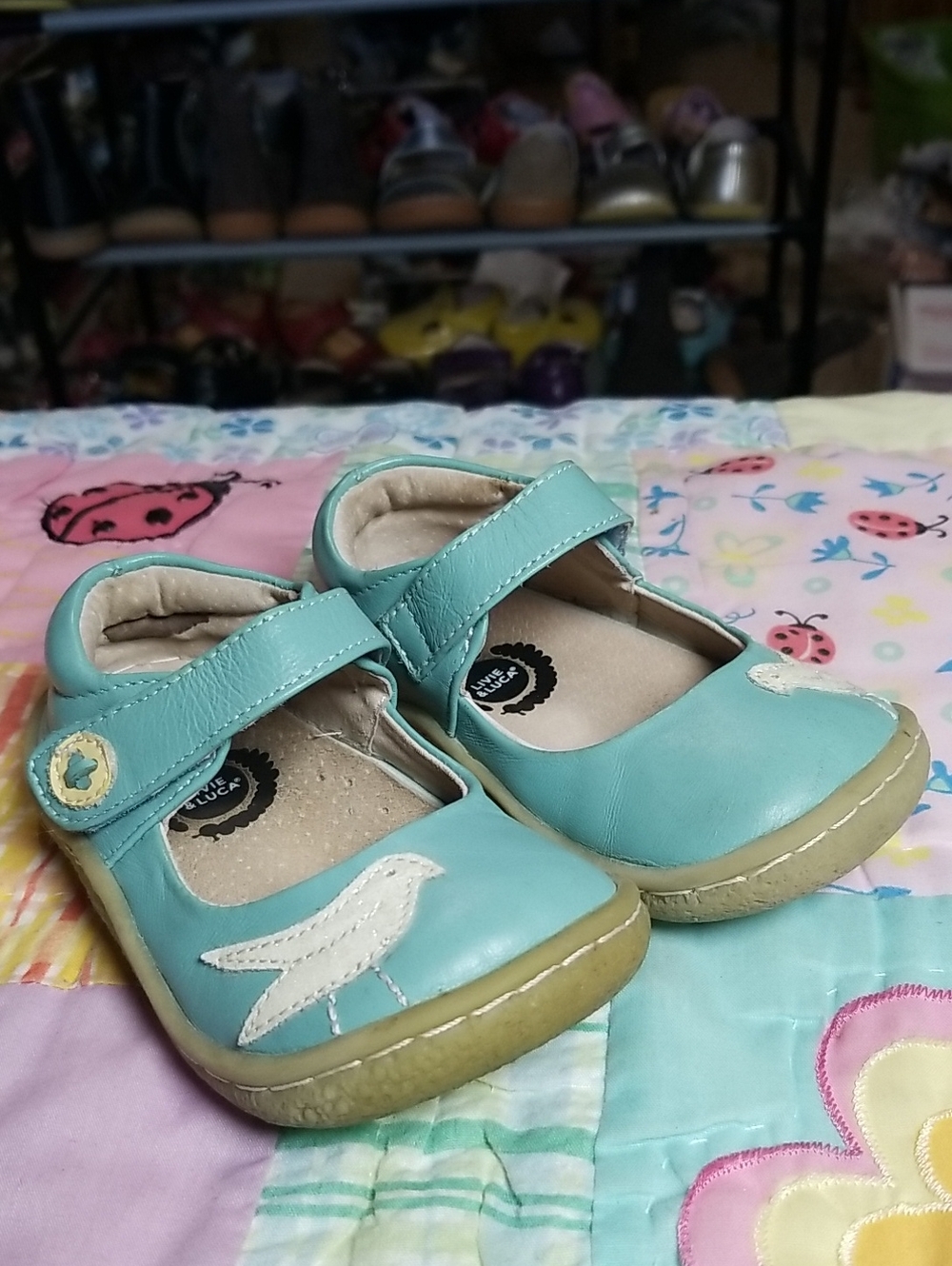 Livie & Luca Teal Mary Jane Shoes with White Bird